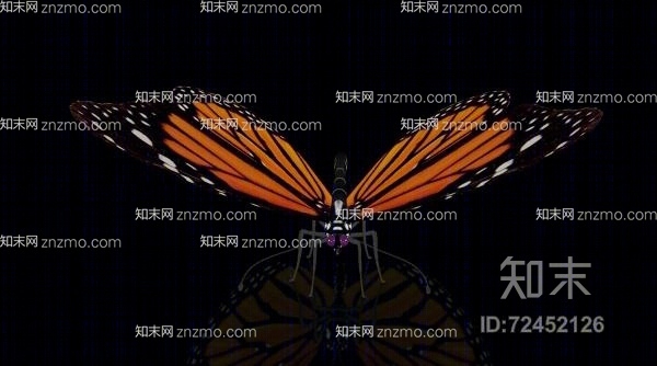 蝴蝶13D模型下载【ID:72452126】