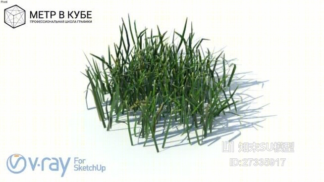 高草，聚+地图，Vray的准备（010）SU模型下载【ID:27335917】