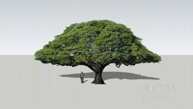 树SU模型下载【ID:27686618】