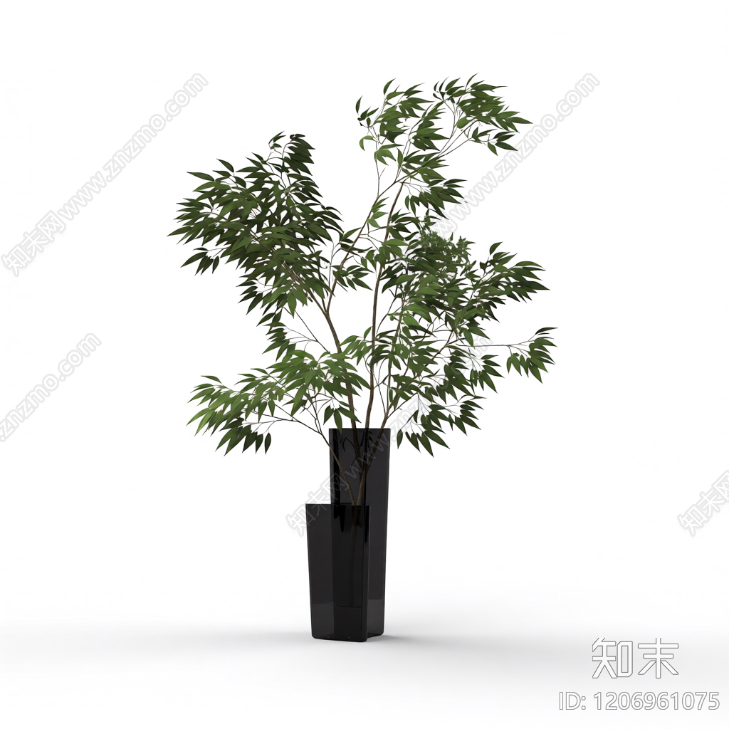 盆栽植物组合3D模型下载【ID:1206961075】