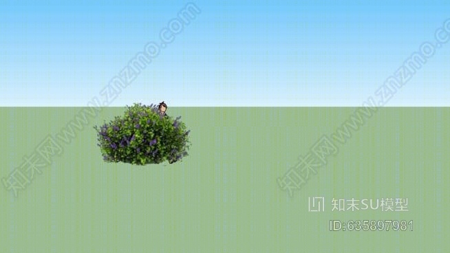 图及蓝花灌木SU模型下载【ID:635897981】