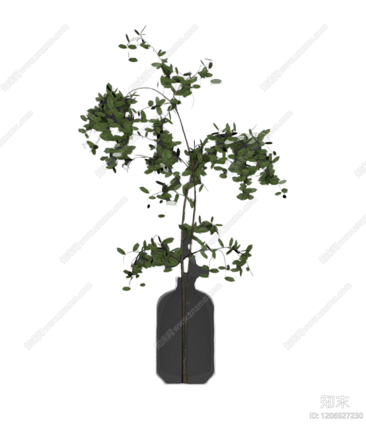 盆栽植物装饰3D模型下载【ID:1206927230】