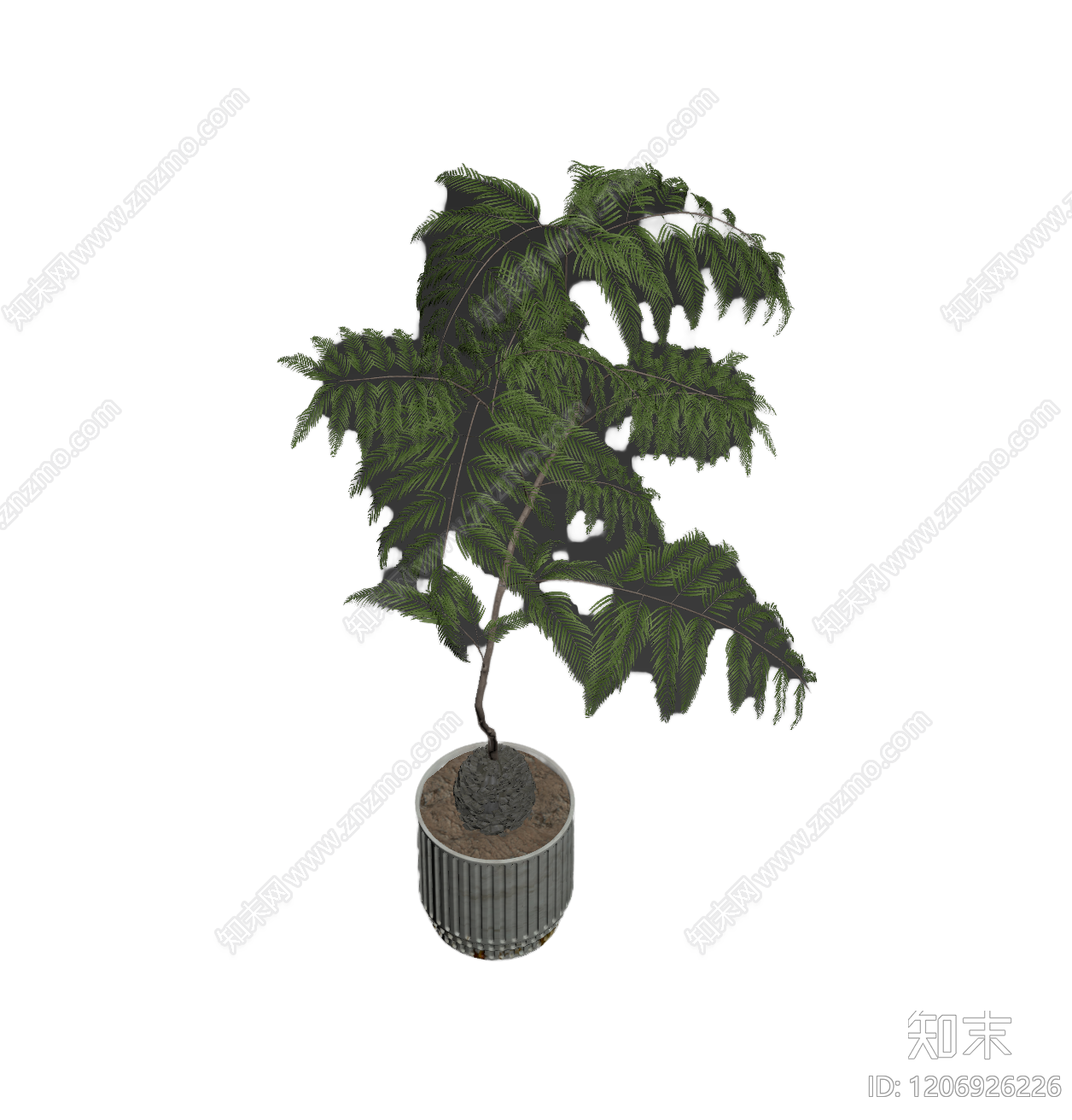 盆栽植物带花盆3D模型下载【ID:1206926226】