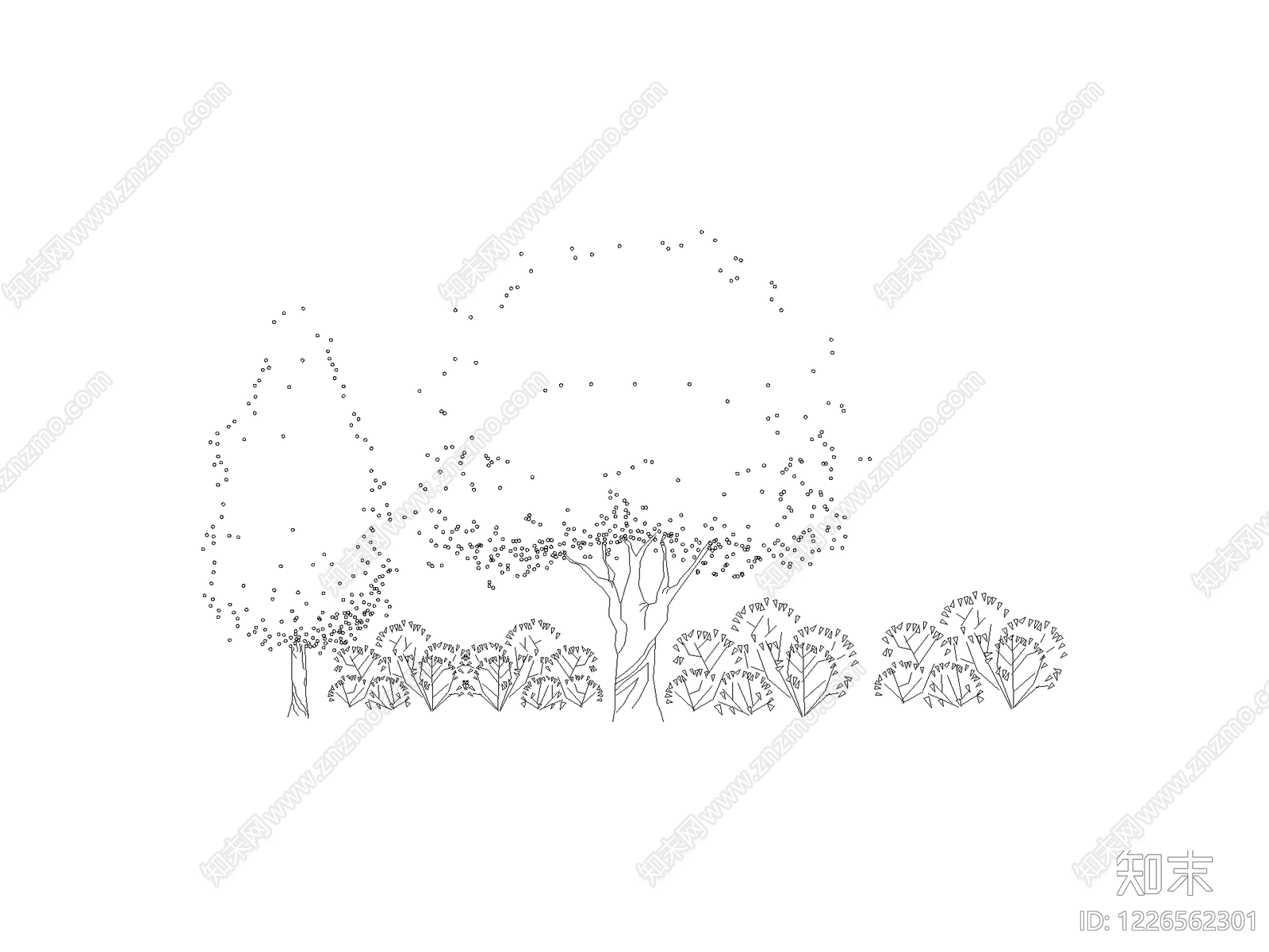 现代乔木种植CAD图纸