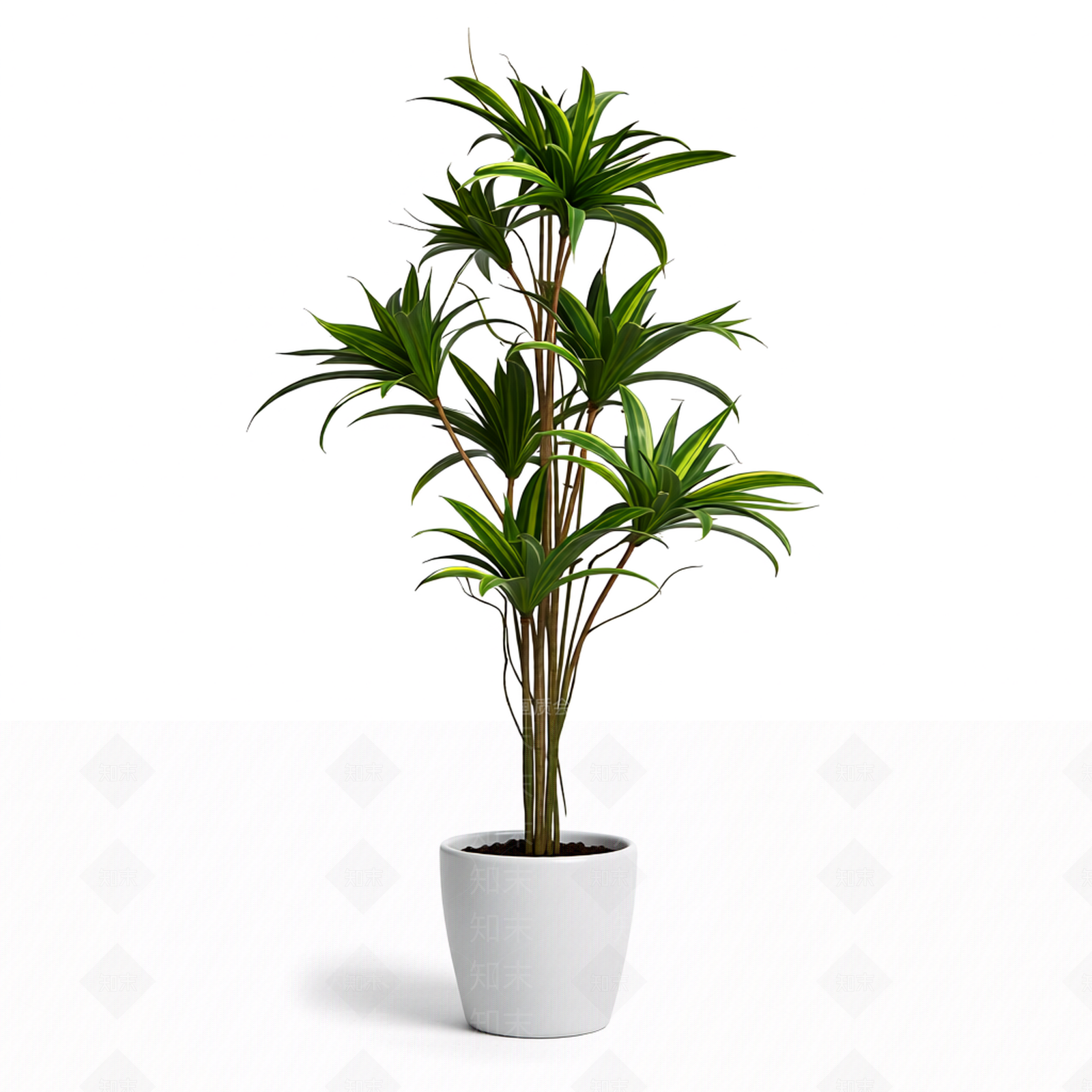 带盆绿植盆栽3D模型下载【ID:1206187088】