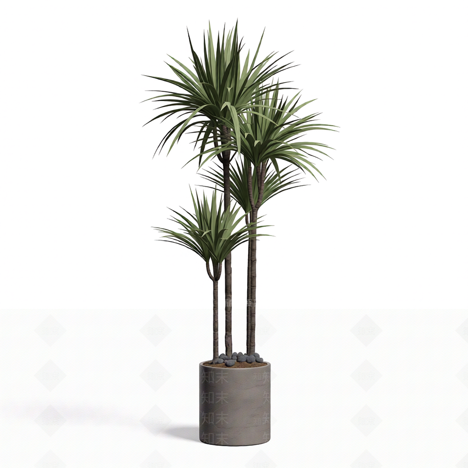 带盆完整盆栽植物3D模型下载【ID:1206201789】