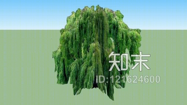 哭泣的柳树SU模型下载【ID:121624600】