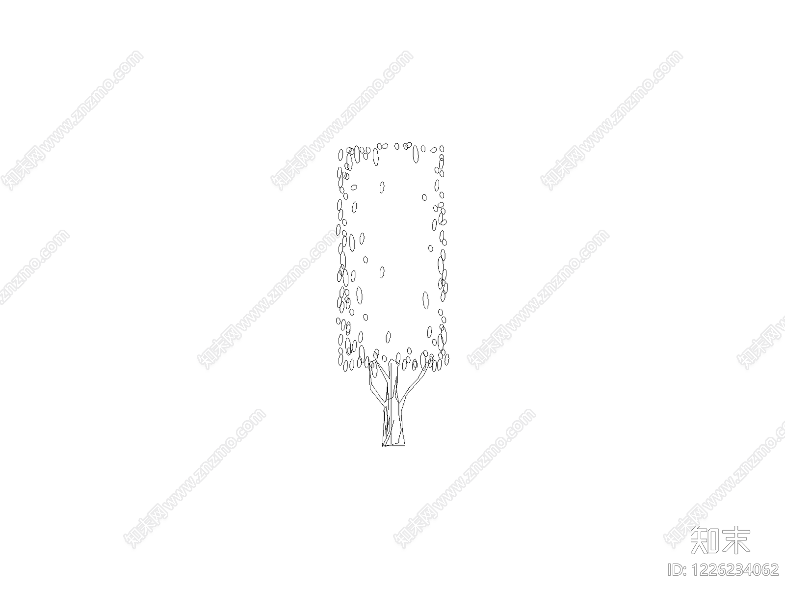 现代乔木种植CAD图纸