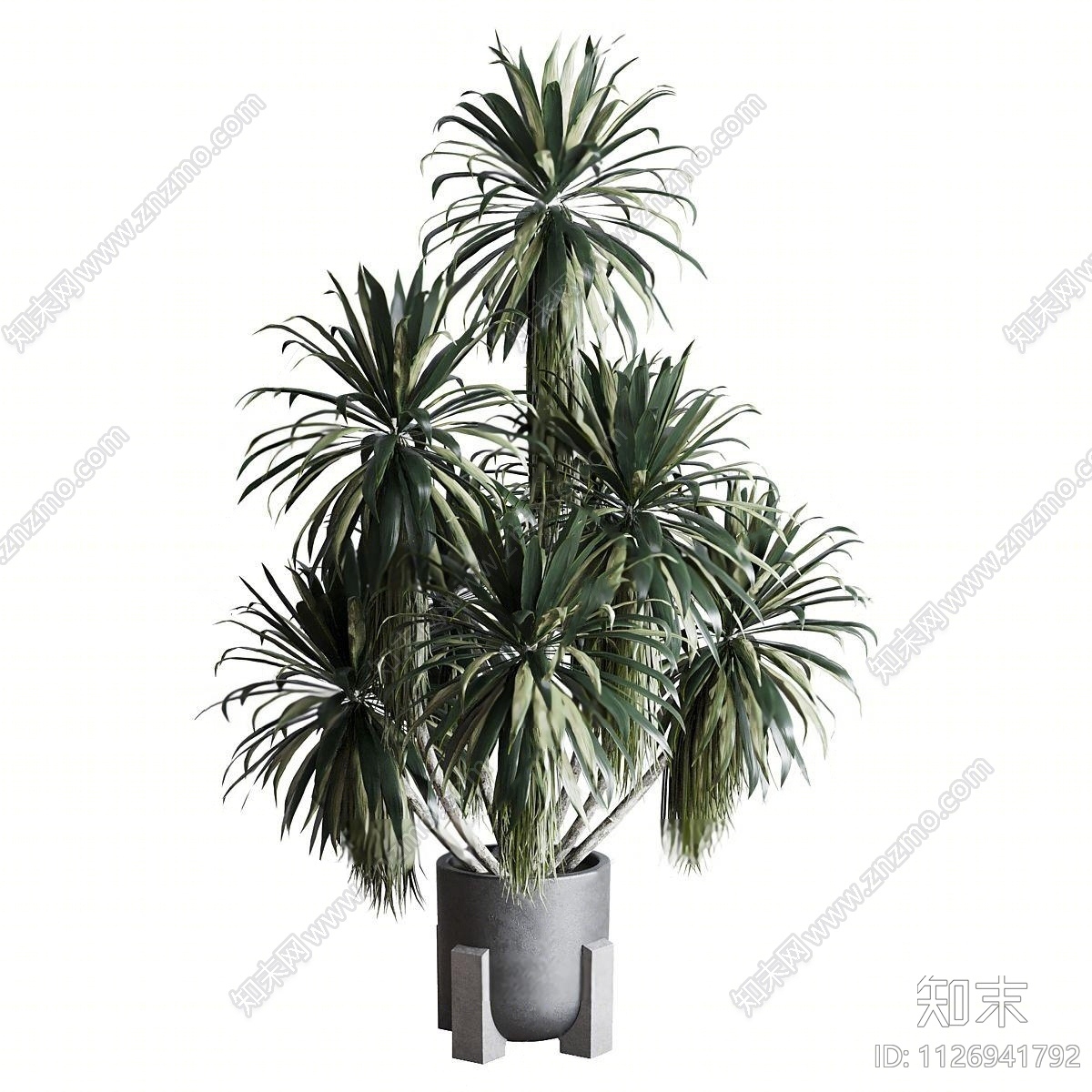 绿植盆栽3D模型下载【ID:1126941792】