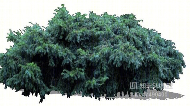 树SU模型下载【ID:118057688】