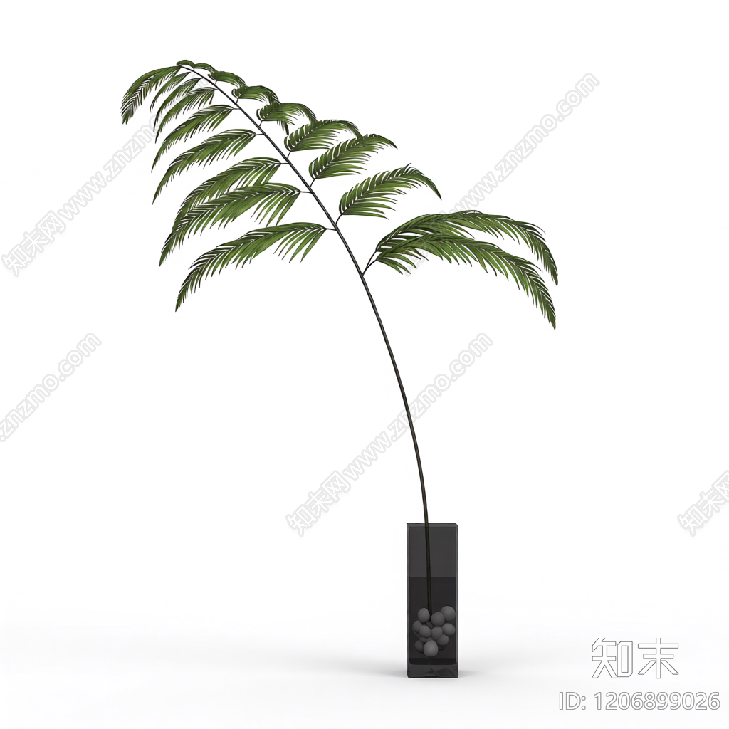 盆栽蕨类植物3D模型下载【ID:1206899026】