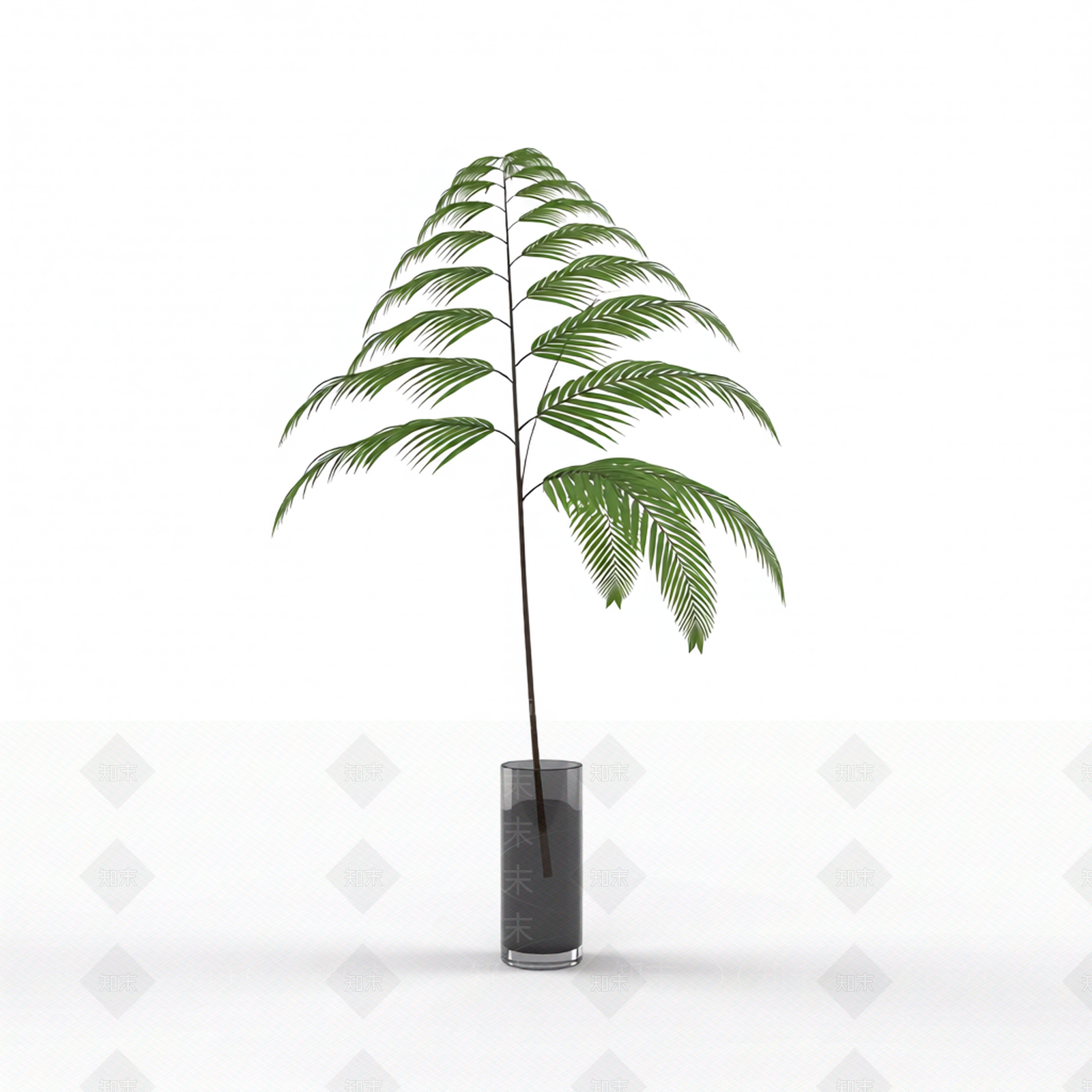 绿色枝叶植物模型3D模型下载【ID:1206191165】