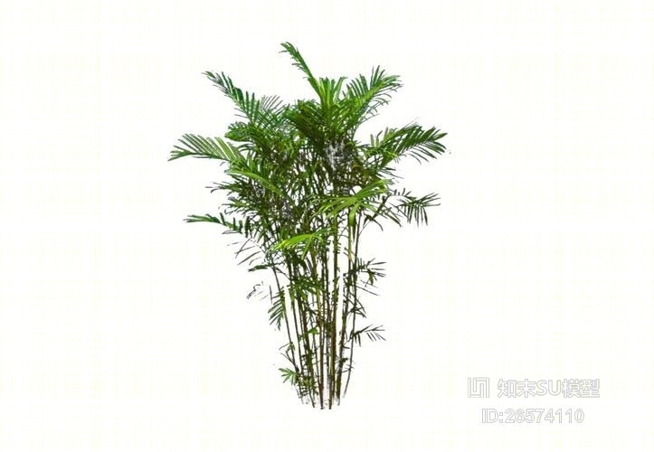 2D芭蕉树SU模型下载【ID:26574110】