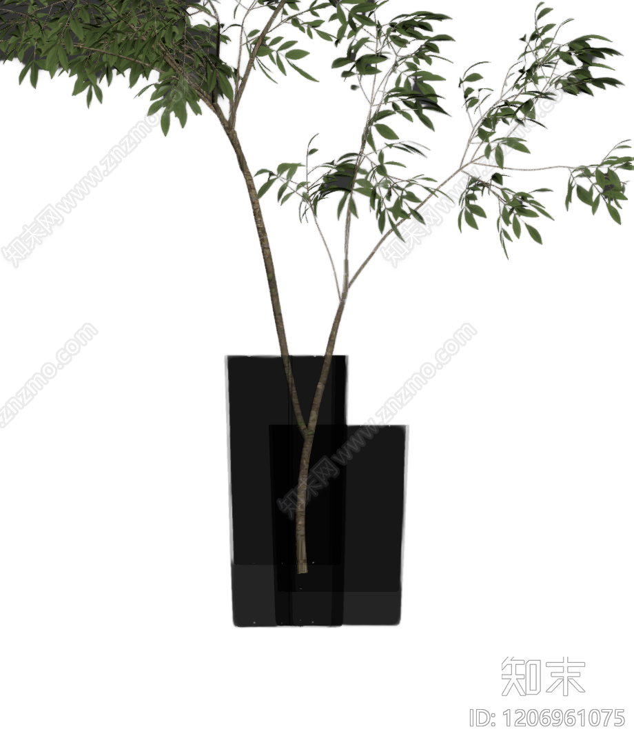 盆栽植物组合3D模型下载【ID:1206961075】