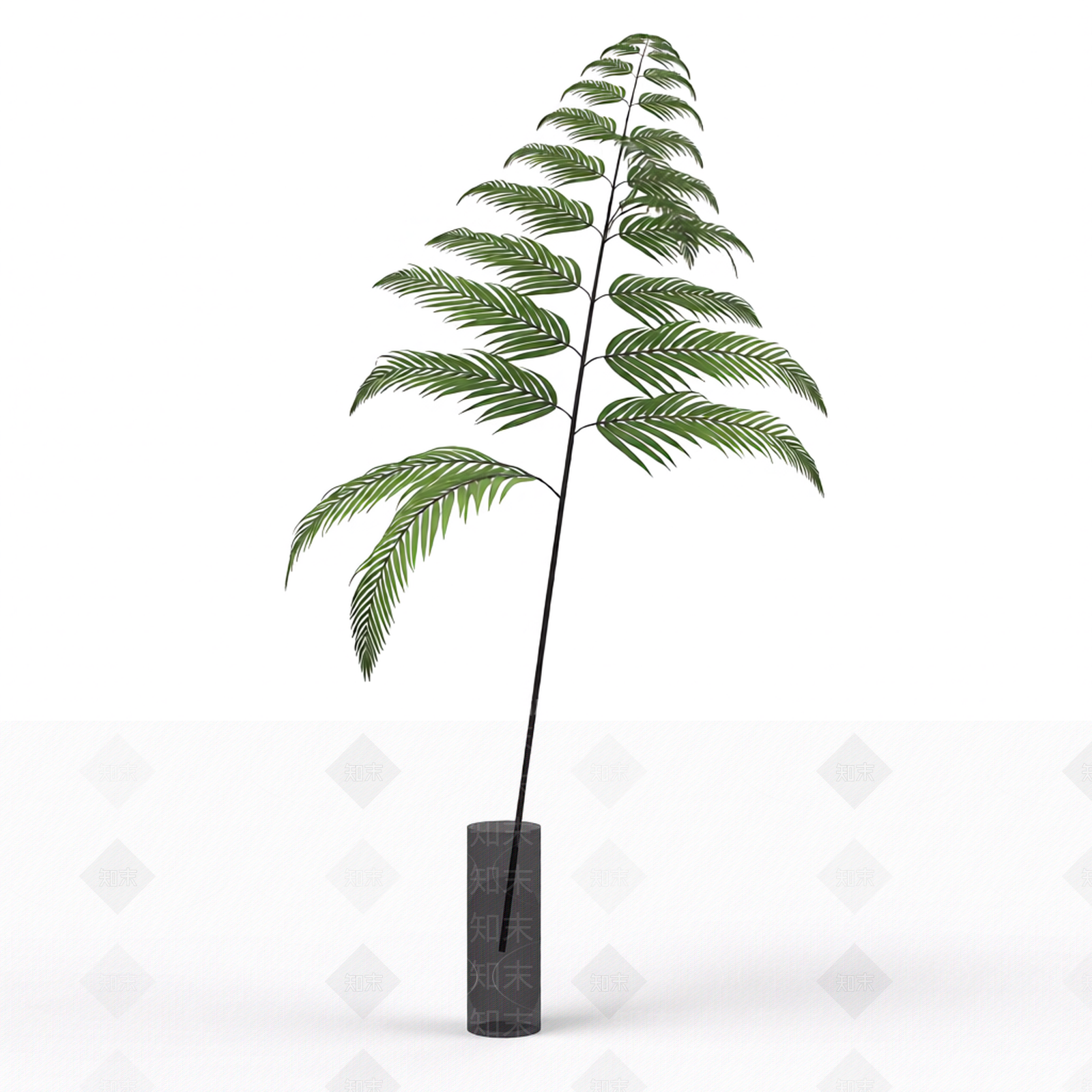 带茎绿色植物模型3D模型下载【ID:1206186523】