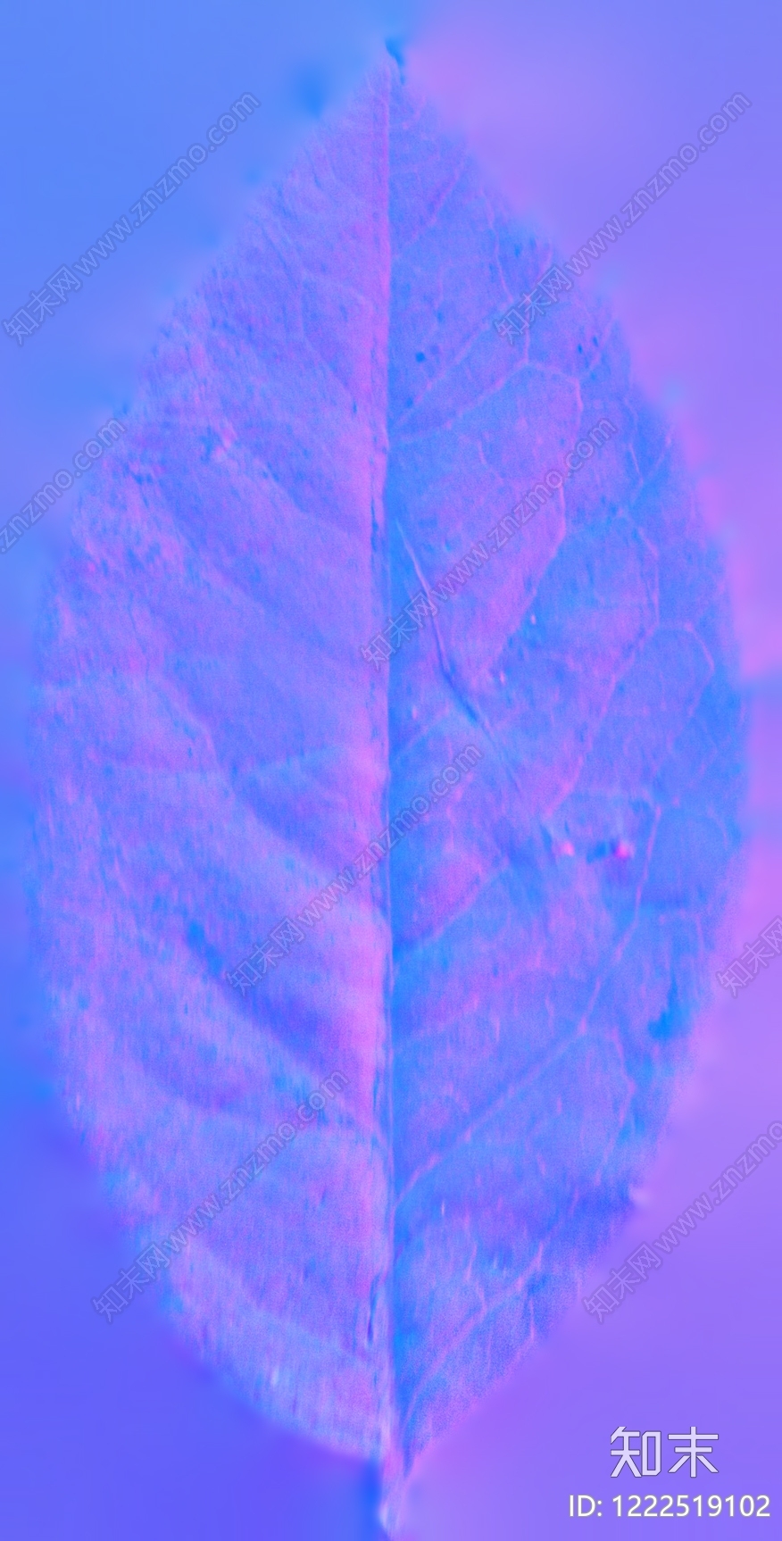 其他法线贴图下载【ID:1222519102】