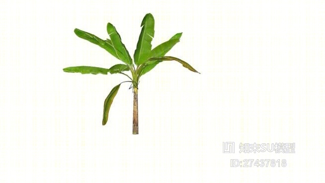 树SU模型下载【ID:117981676】