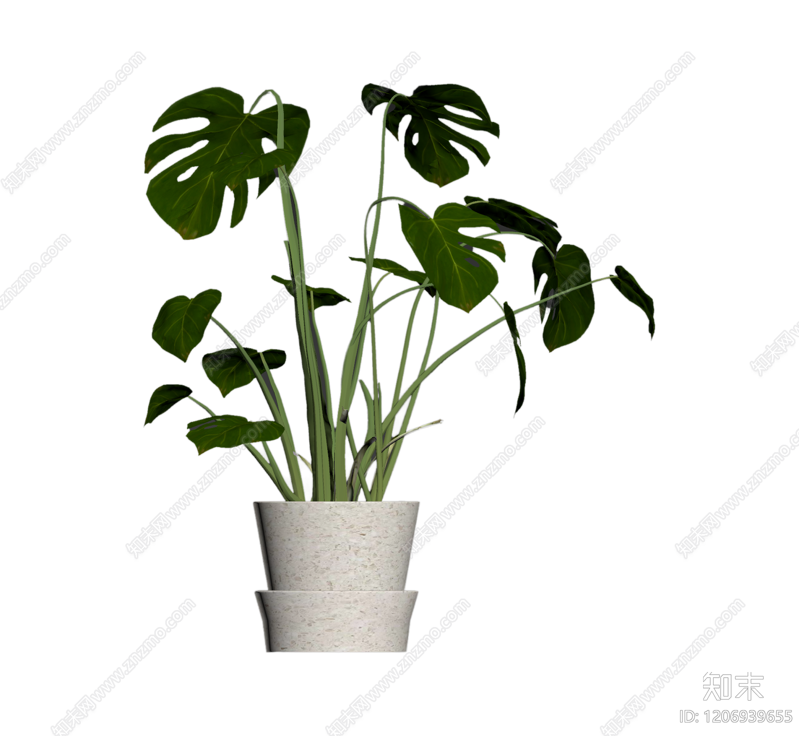 盆栽龟背竹植物3D模型下载【ID:1206939655】