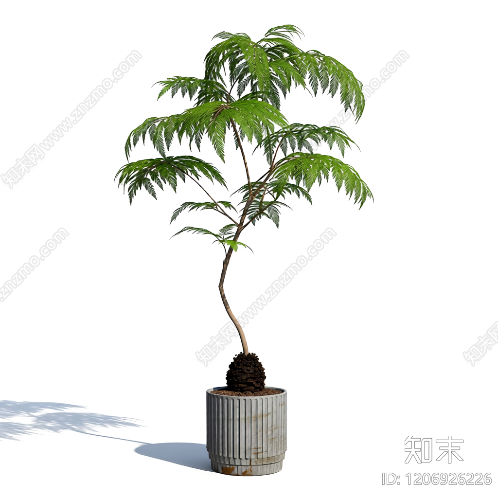 盆栽3D模型渲染效果图