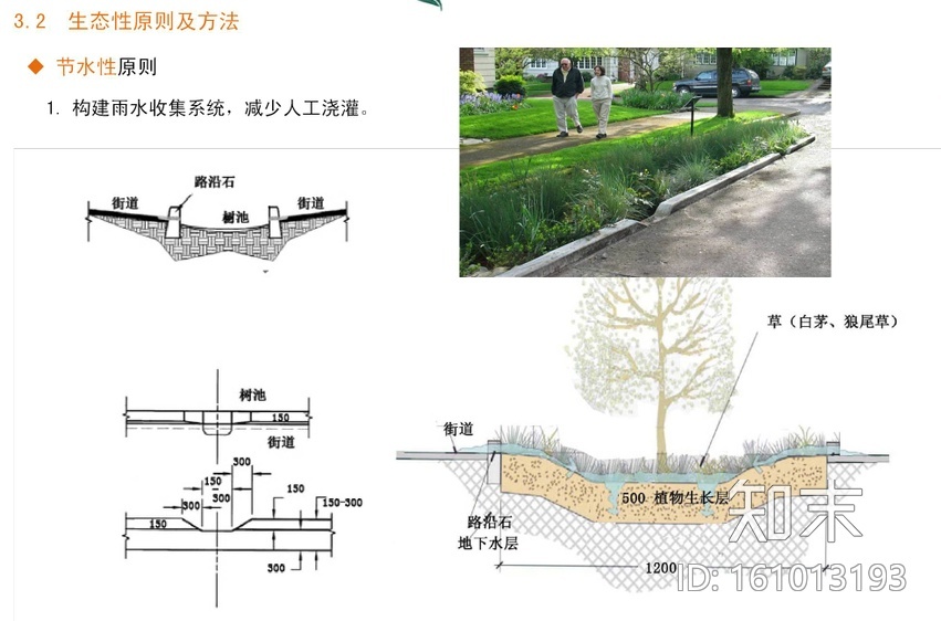 [河北]秦皇岛市道路绿化改造设计方案-土人cad施工图下载【ID:161013193】