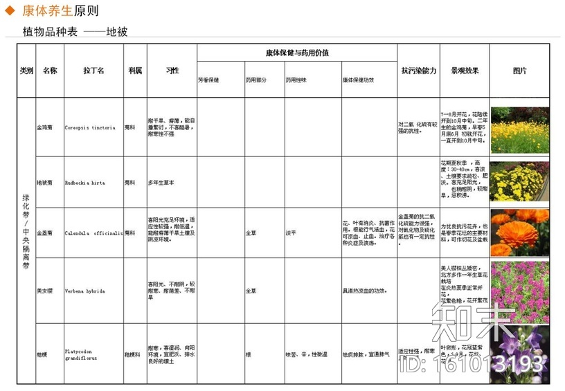 [河北]秦皇岛市道路绿化改造设计方案-土人cad施工图下载【ID:161013193】