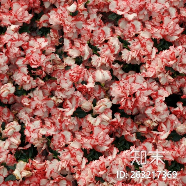 花床贴图下载【ID:263217369】