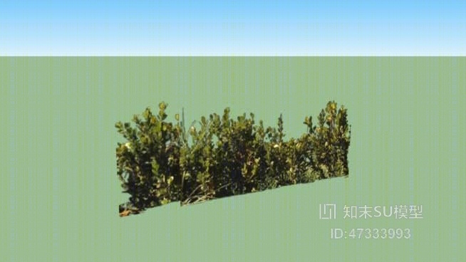 arbustos家-托雷诺牌汽车SU模型下载【ID:47333993】