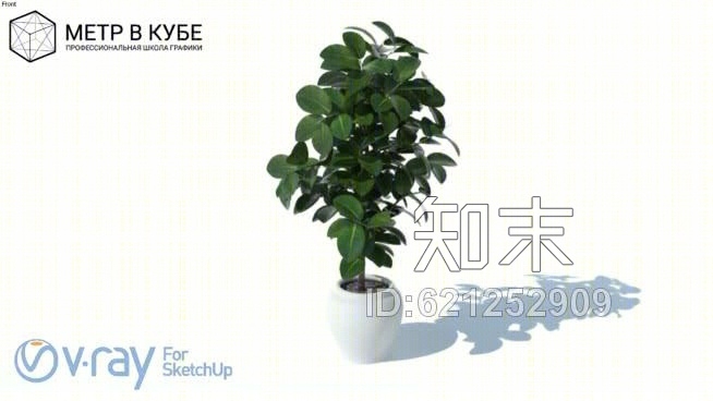 植物03SU模型下载【ID:621252909】