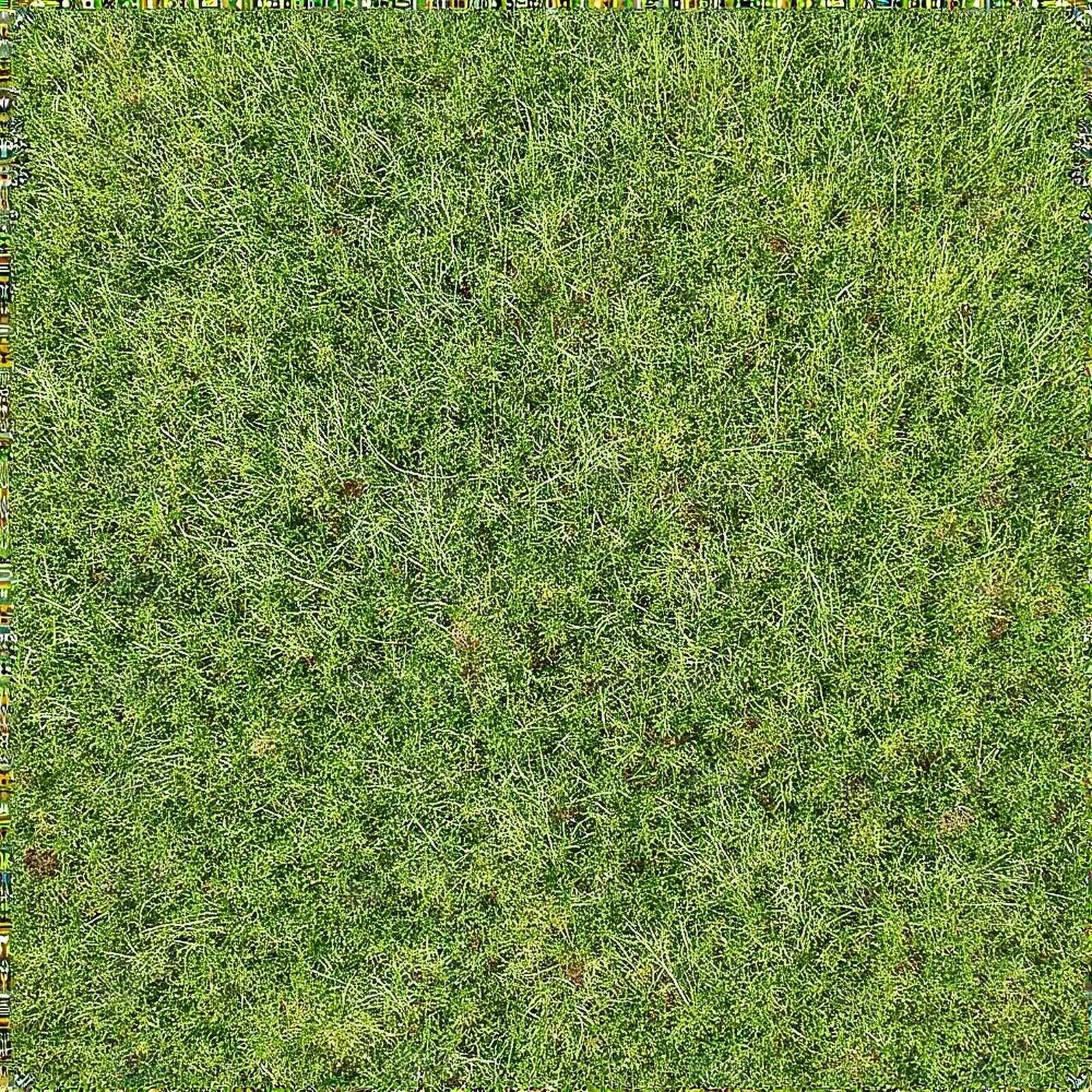 绿茵草地贴图下载【ID:1195334427】