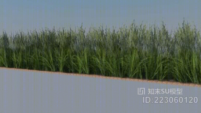 草（PNG图像）SU模型下载【ID:223060120】