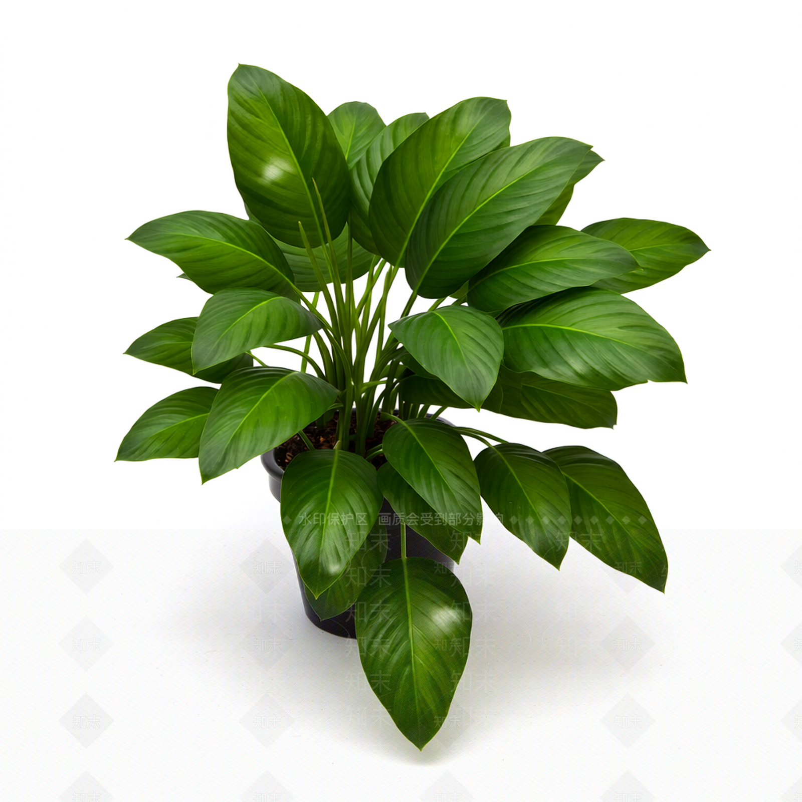 绿色盆栽植物模型3D模型下载【ID:1206186519】