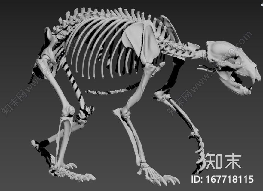 标准四边面CG模型下载【ID:167718115】