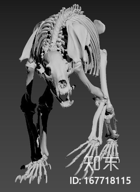 标准四边面CG模型下载【ID:167718115】