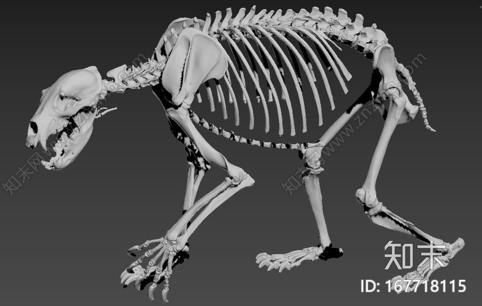 标准四边面CG模型下载【ID:167718115】