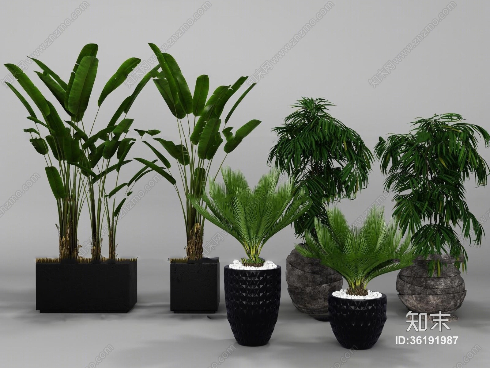 现代绿植盆栽组合3D模型下载【ID:36191987】