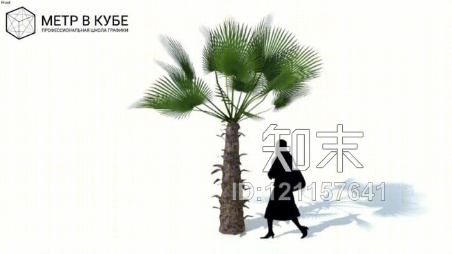 低维3D树棕榈（067）SU模型下载【ID:121157641】