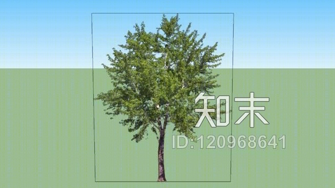 二维树SU模型下载【ID:120968641】