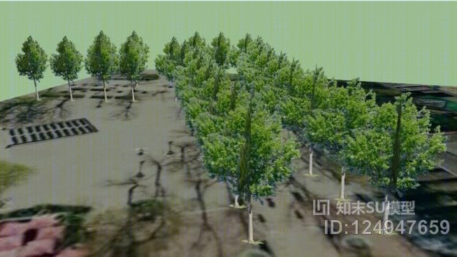入口处的树木SU模型下载【ID:124947659】
