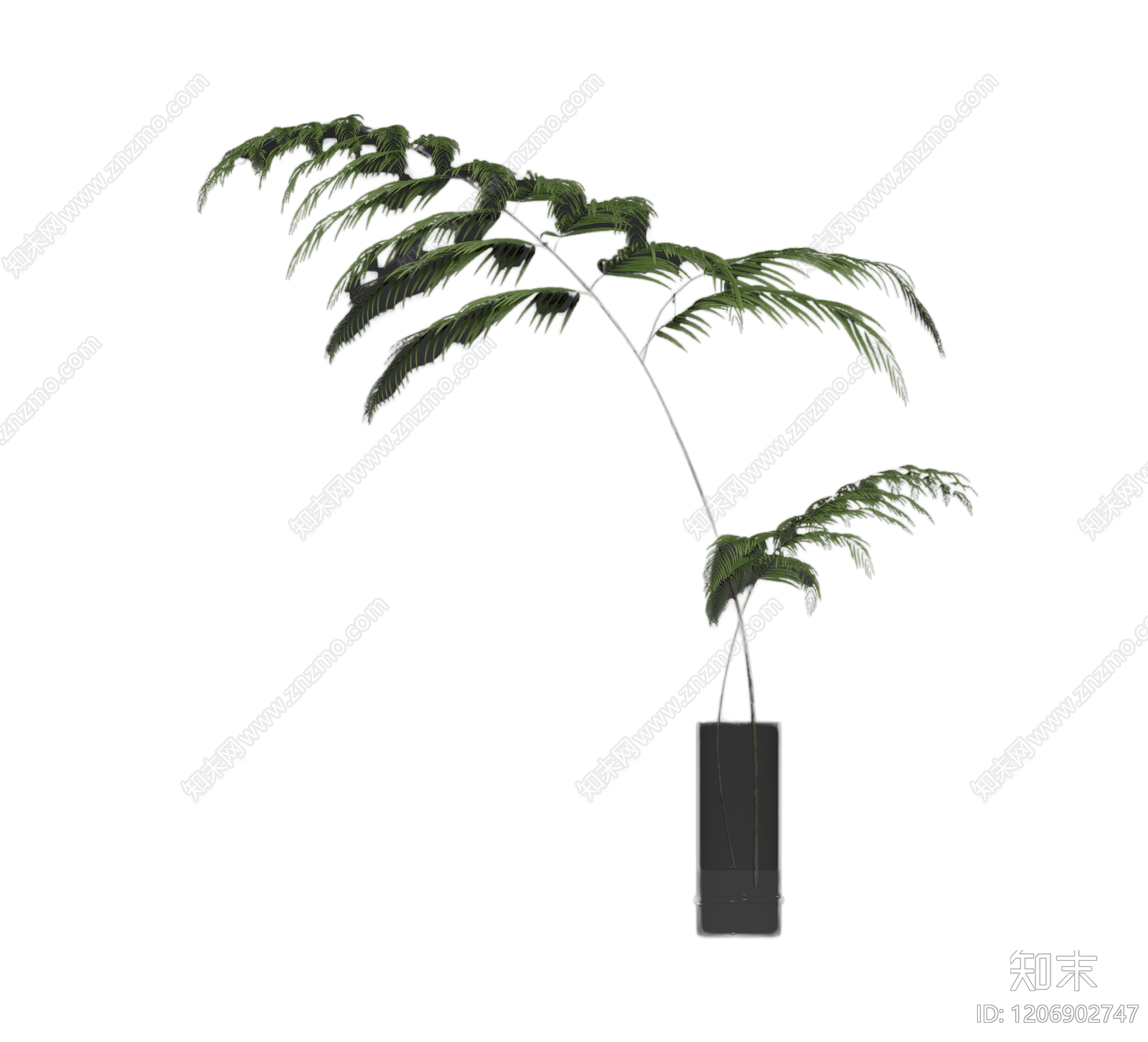 盆栽蕨类植物装饰3D模型下载【ID:1206902747】