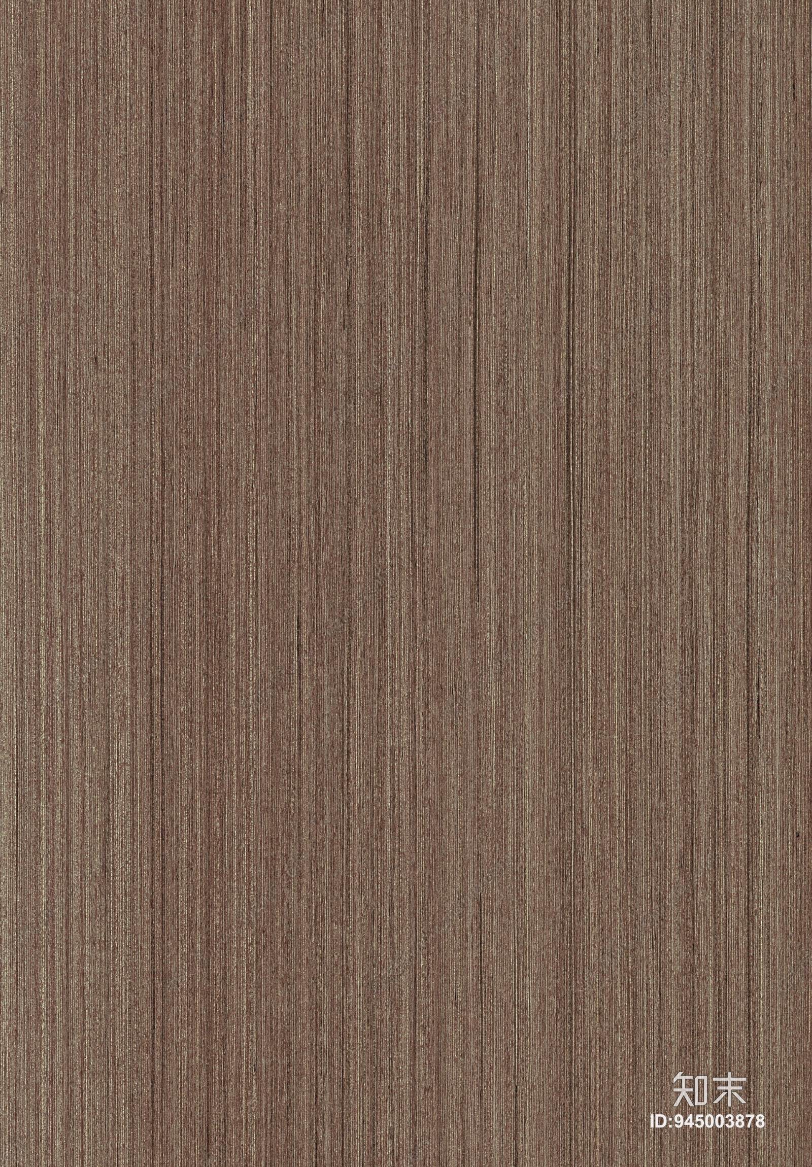 黄杨木贴图下载【ID:945003878】