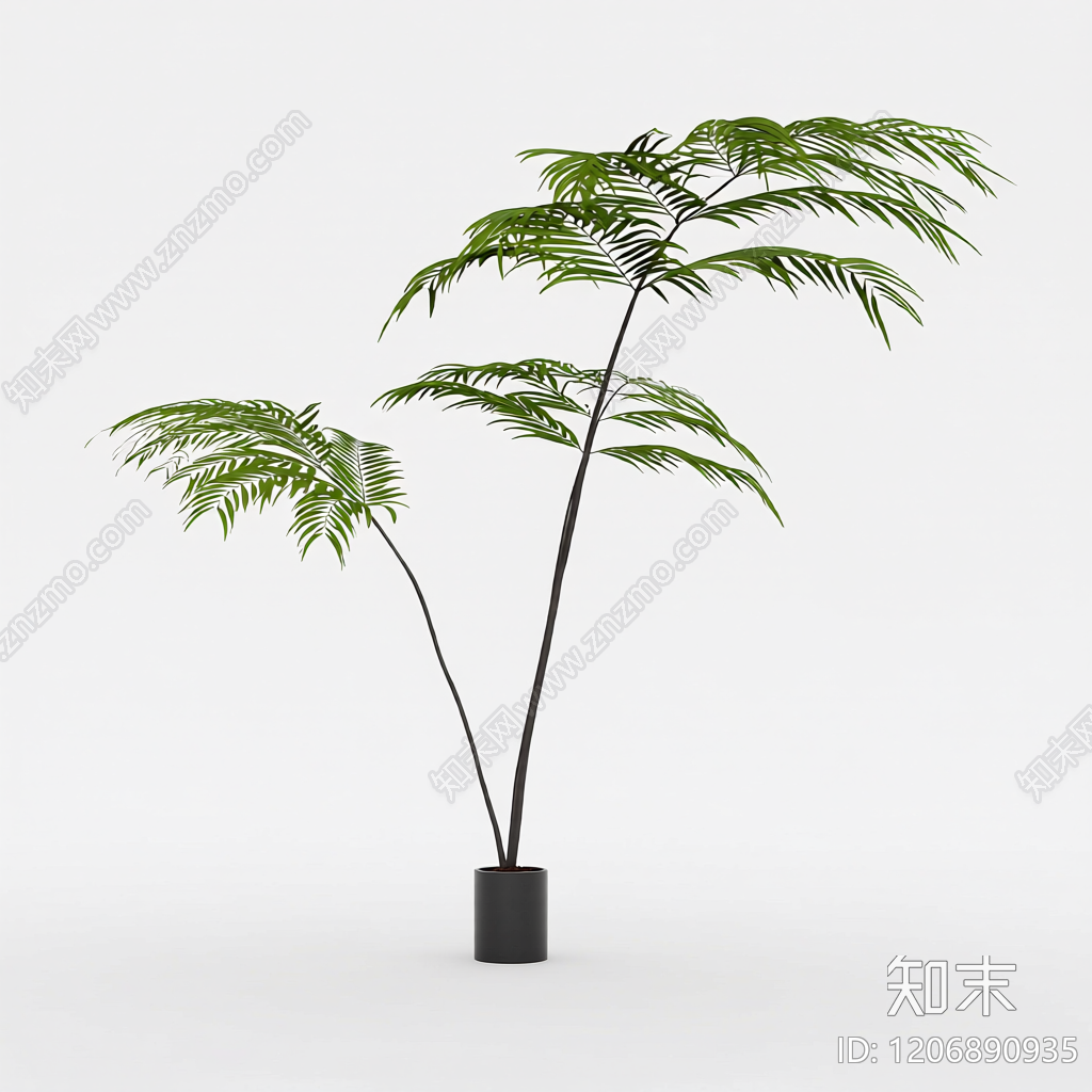 盆栽植物带花盆3D模型下载【ID:1206890935】
