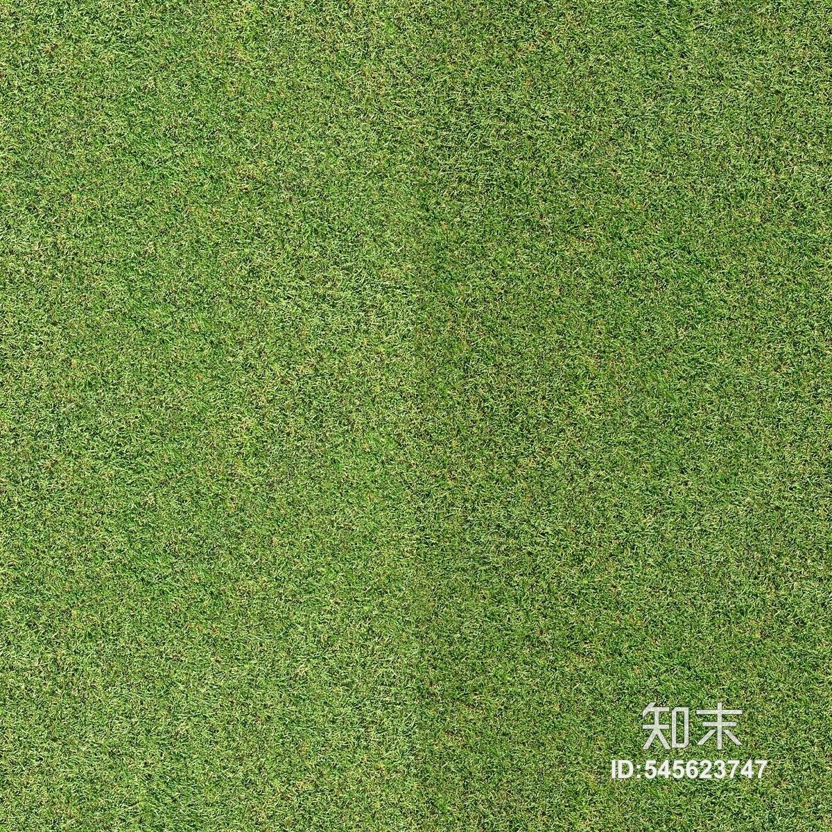 条状贴图下载【ID:545623747】