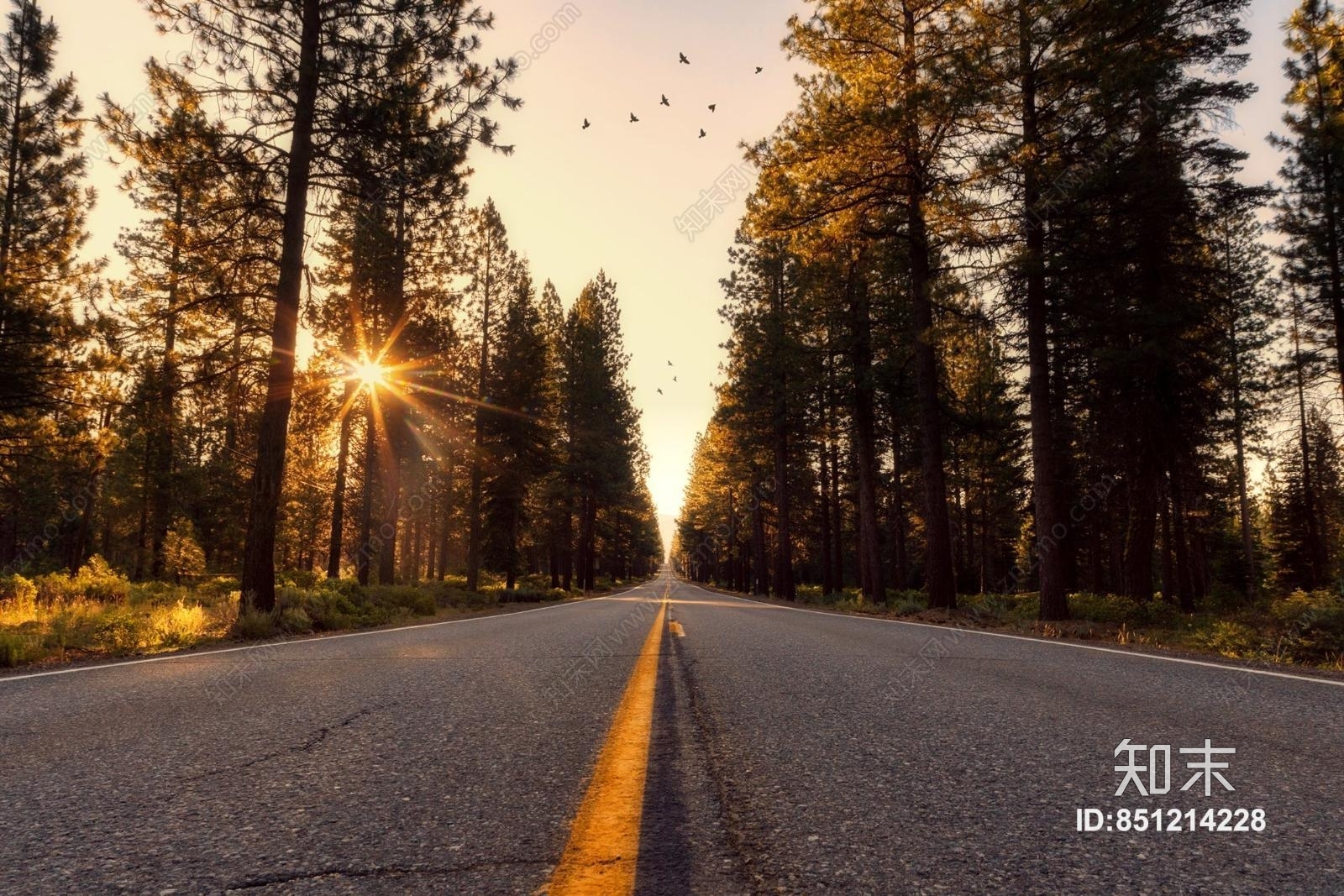高清天空外景图片贴图下载【ID:851214228】