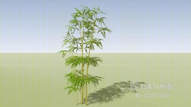 竹子SU模型下载【ID:117932796】