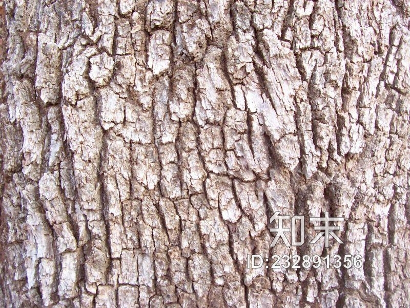 木纹木材-树皮贴图下载【ID:232891356】