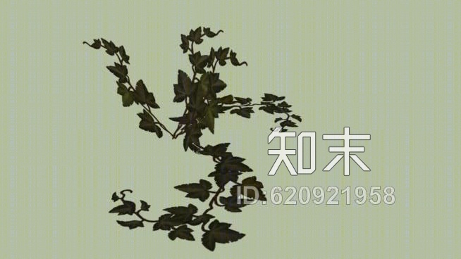 常春藤SU模型下载【ID:620921958】