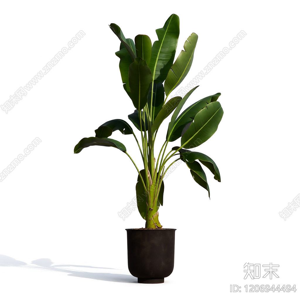 盆栽植物装饰3D模型下载【ID:1206944494】