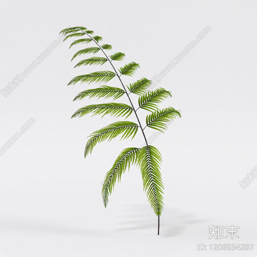 盆栽蕨类植物3D模型下载【ID:1206934287】