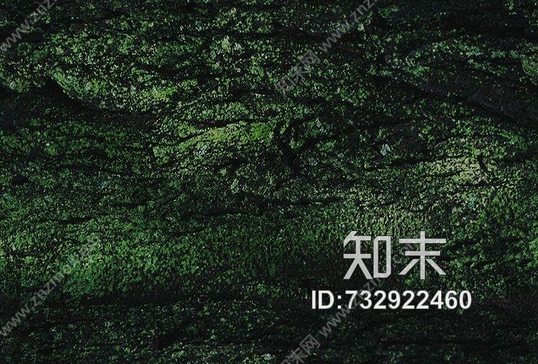 其他杂项-植物纹理贴图下载【ID:732922460】
