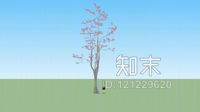 3D粉红玫瑰树橡木/橡木树的三维SU模型下载【ID:121229620】